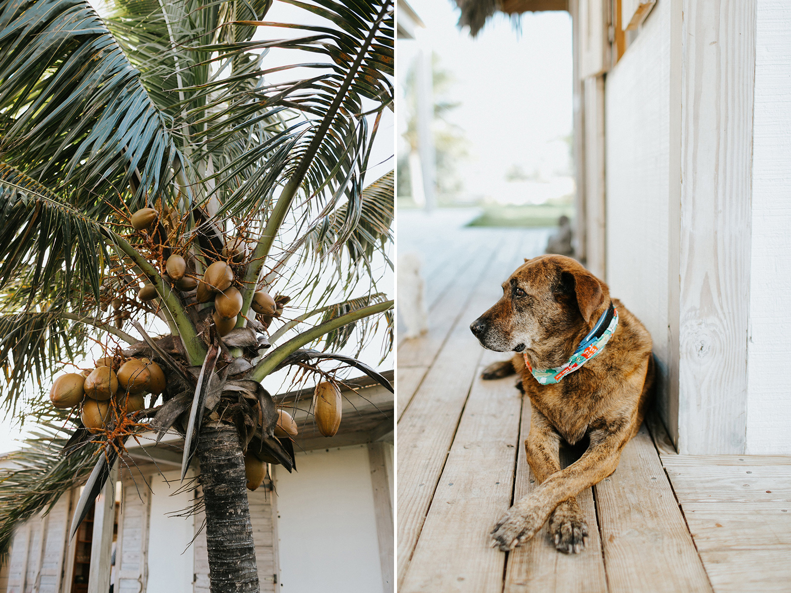 The Other Side North Eleuthera Rehearsal Dinner