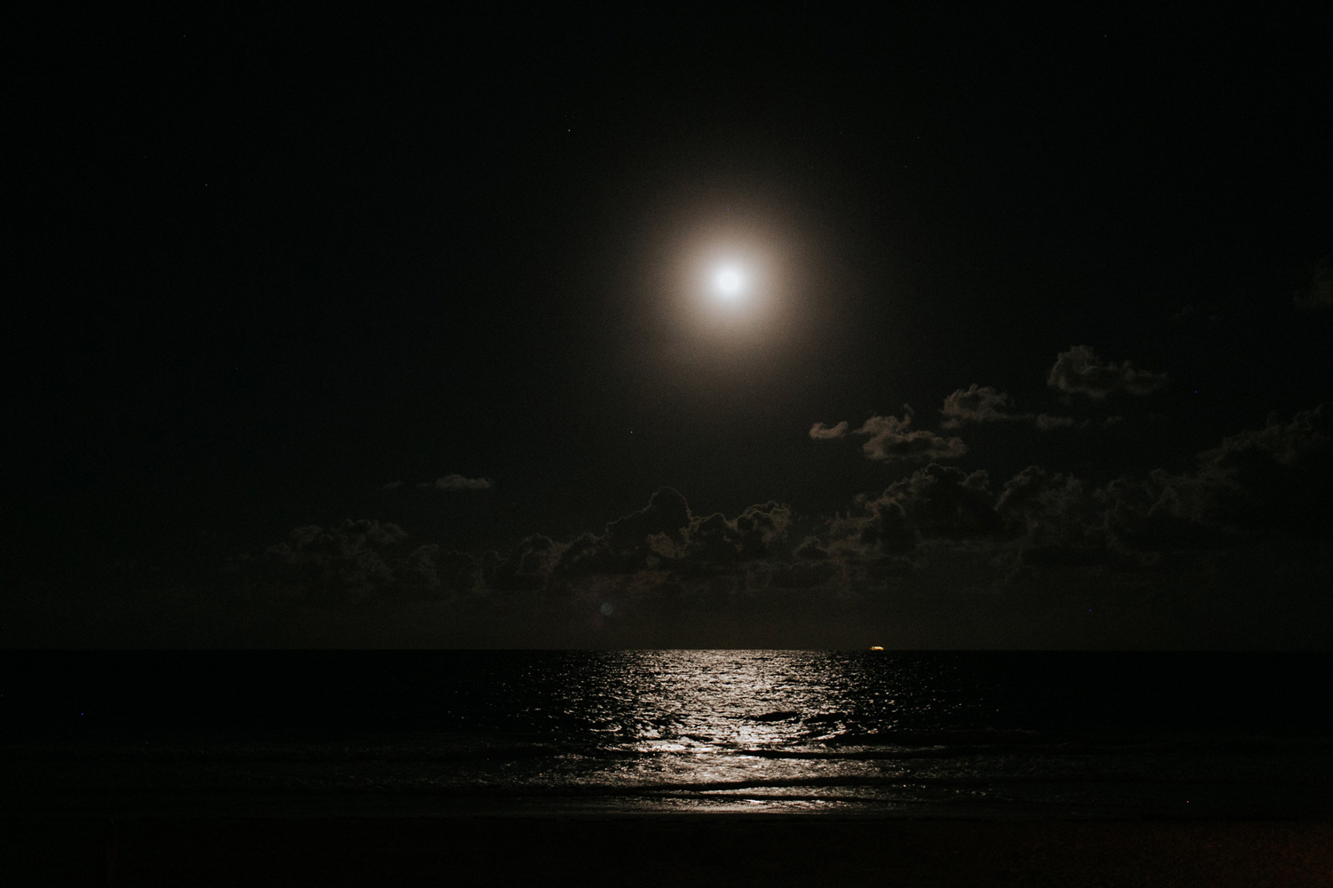 Ocean View Club Wedding, reception
