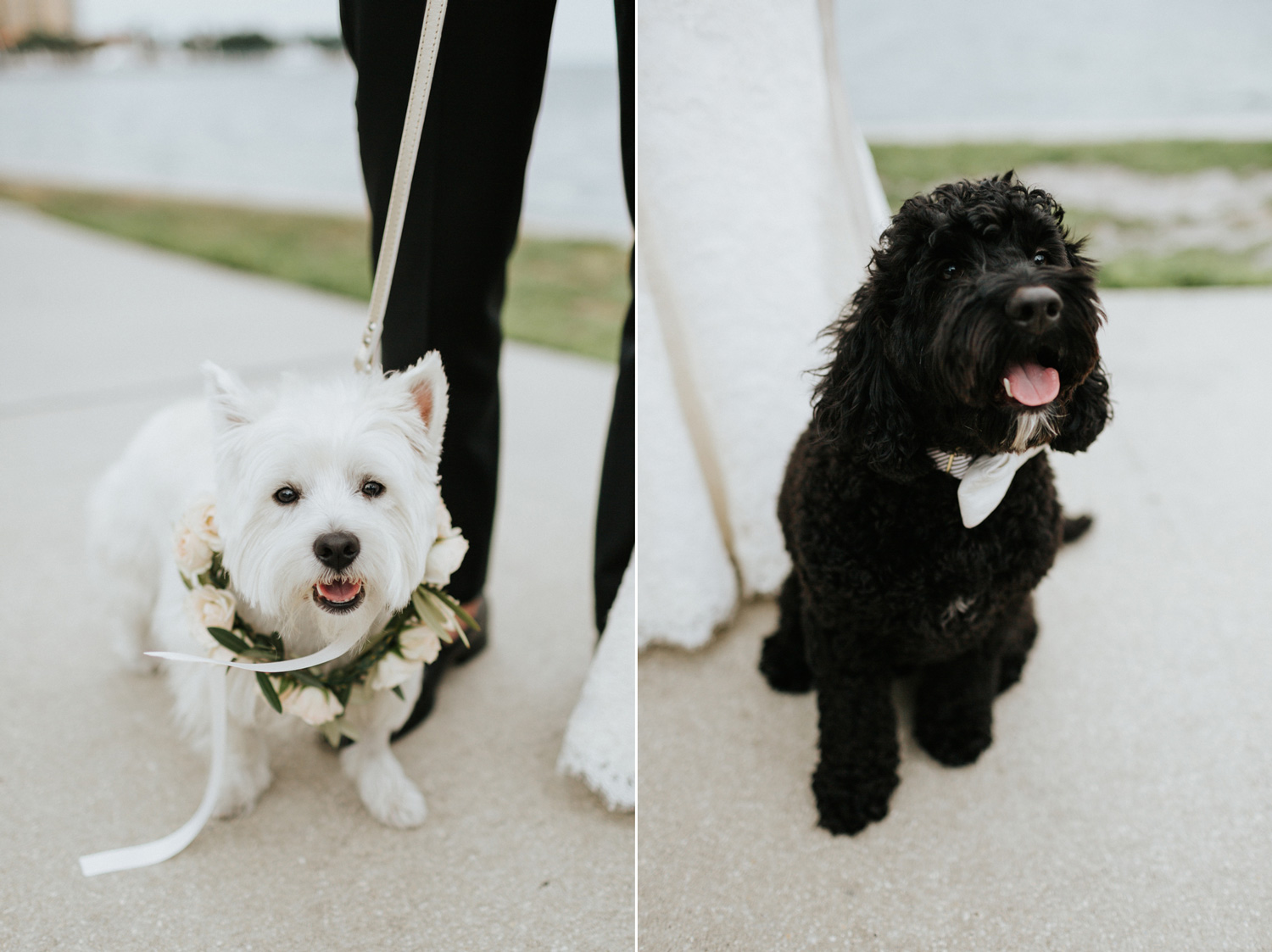 Morean Center for Clay wedding