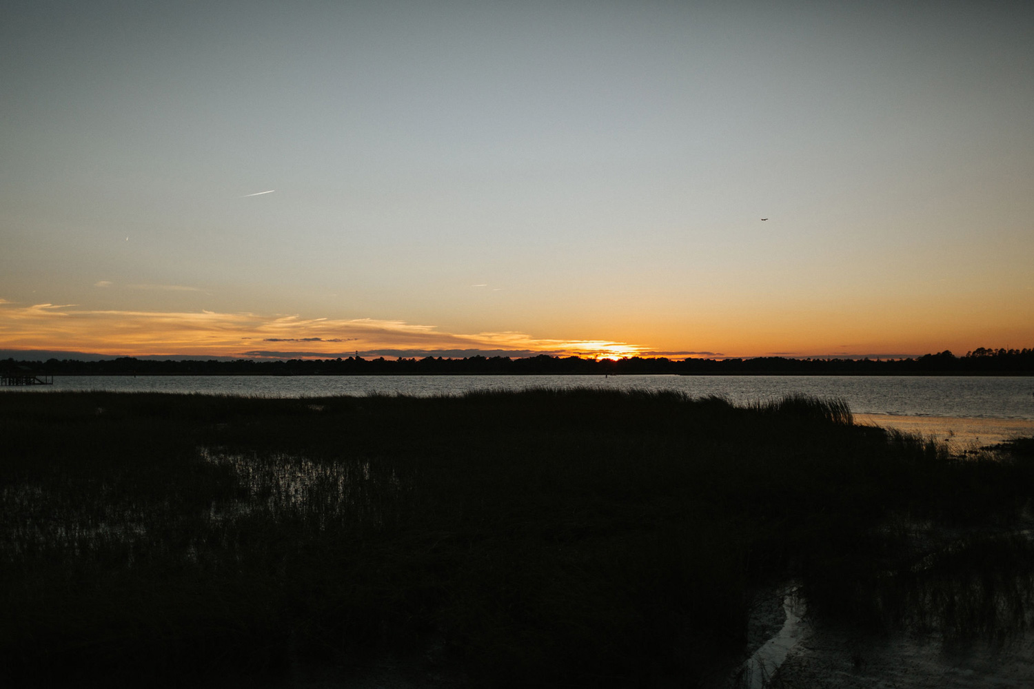 Lowndes Grove Plantation Charleston Wedding