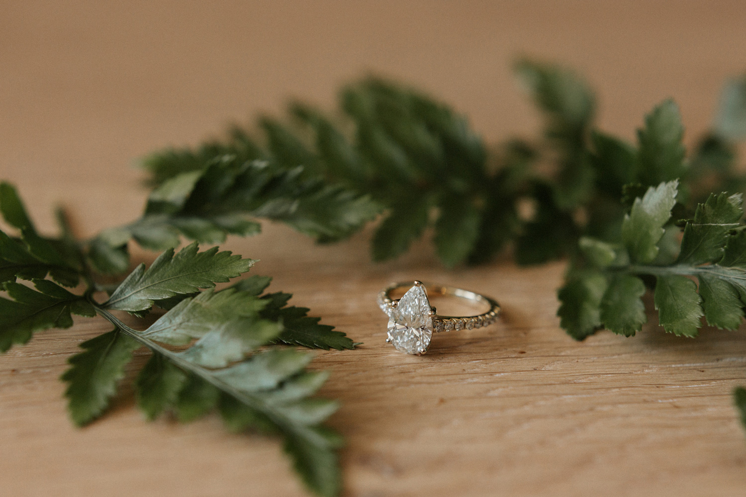 Tampa Yacht and Country Club Wedding