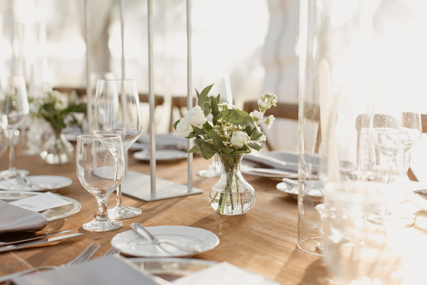 Lowndes Grove Charleston Wedding