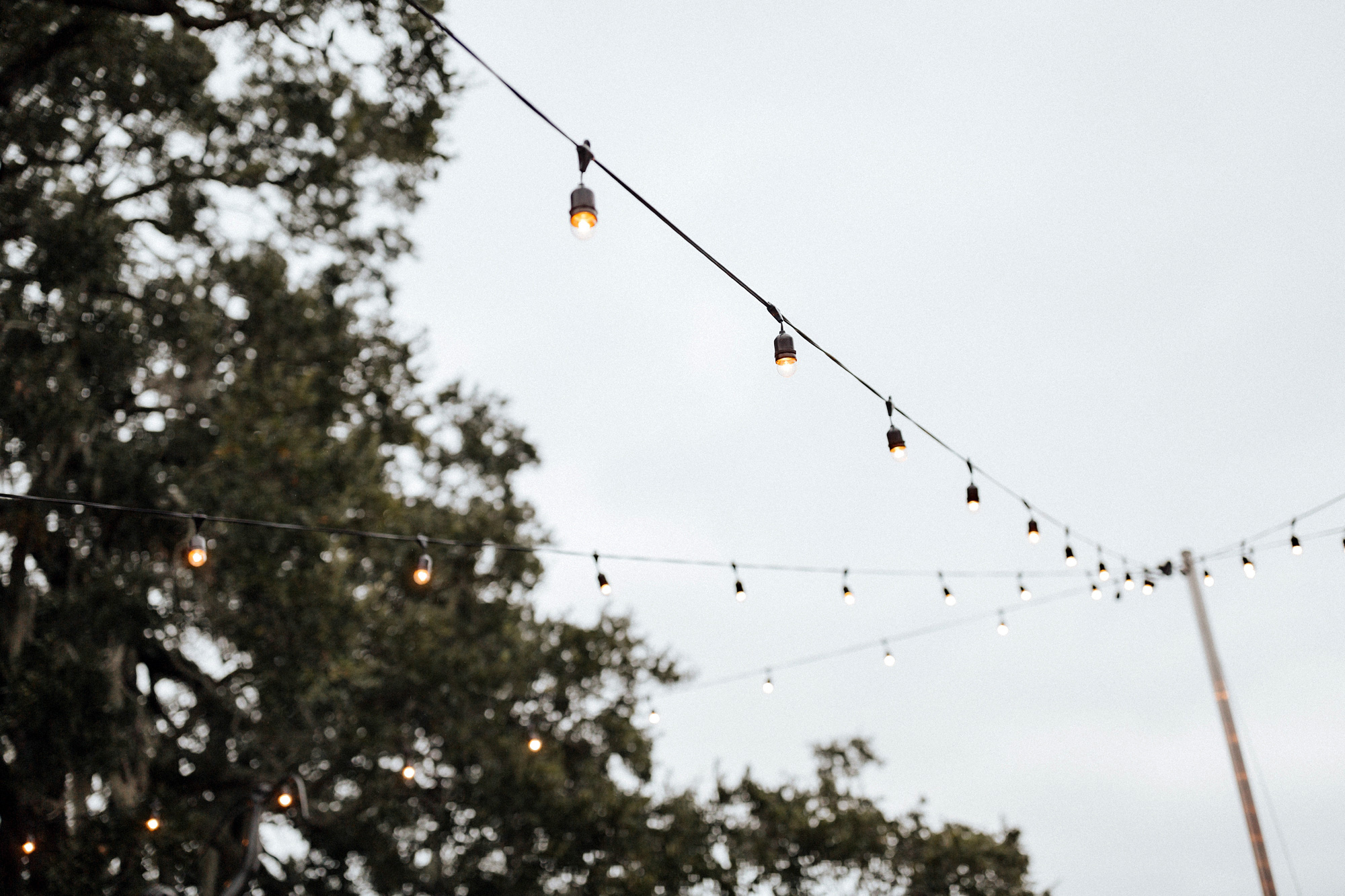 Cummer Museum of Art and Gardens wedding photographer