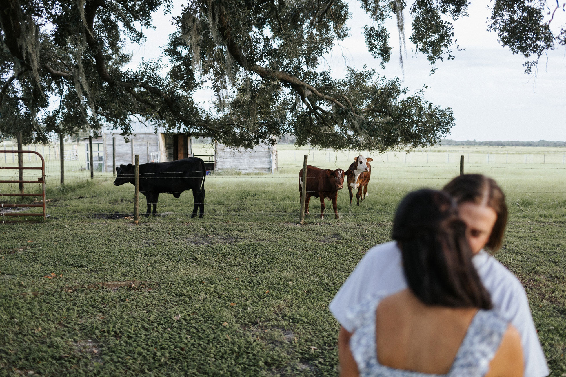 At Home Tampa Engagement Session
