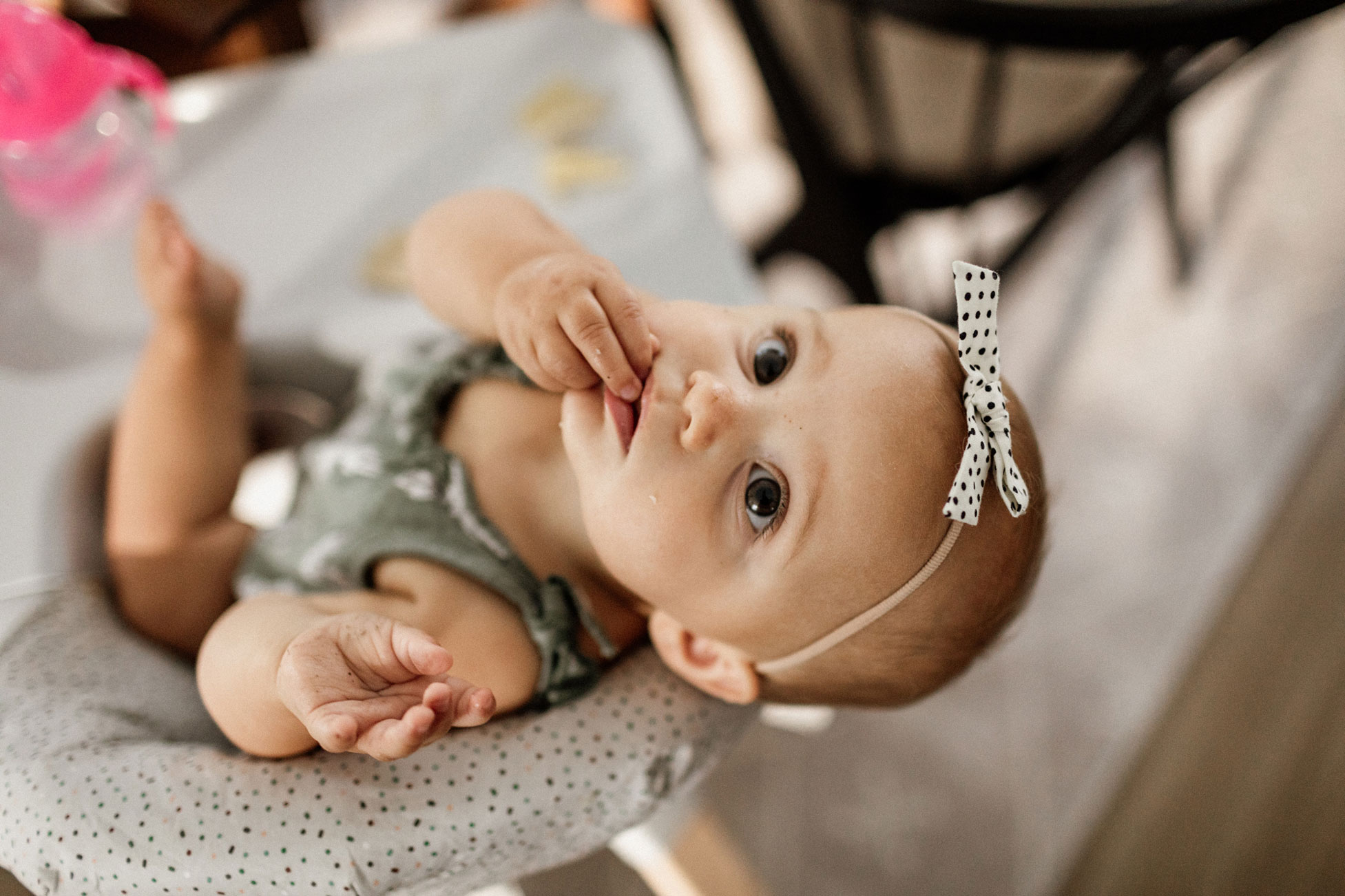 Charleston Family Photographer and Videographer