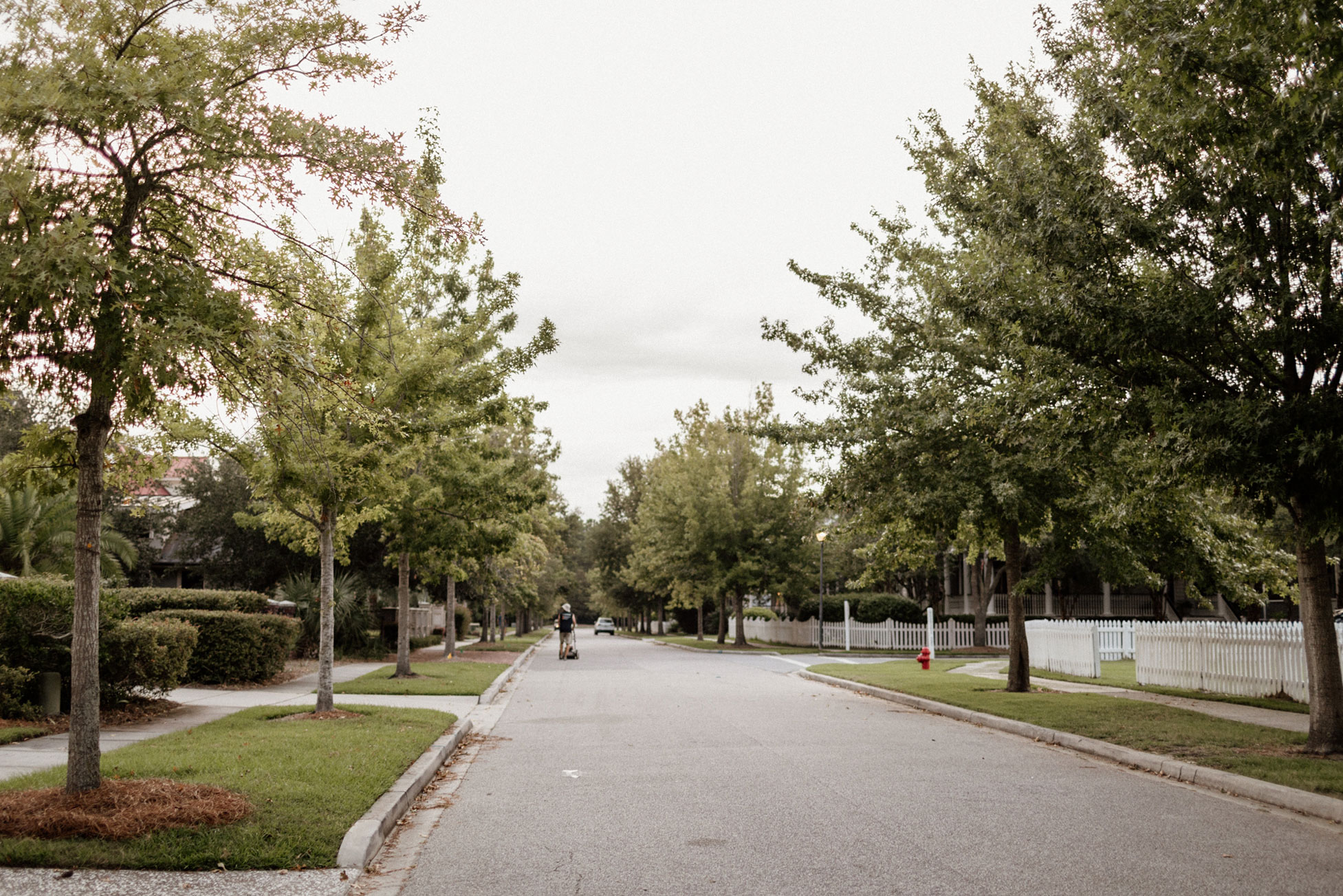 Charleston Family Photographer and Videographer