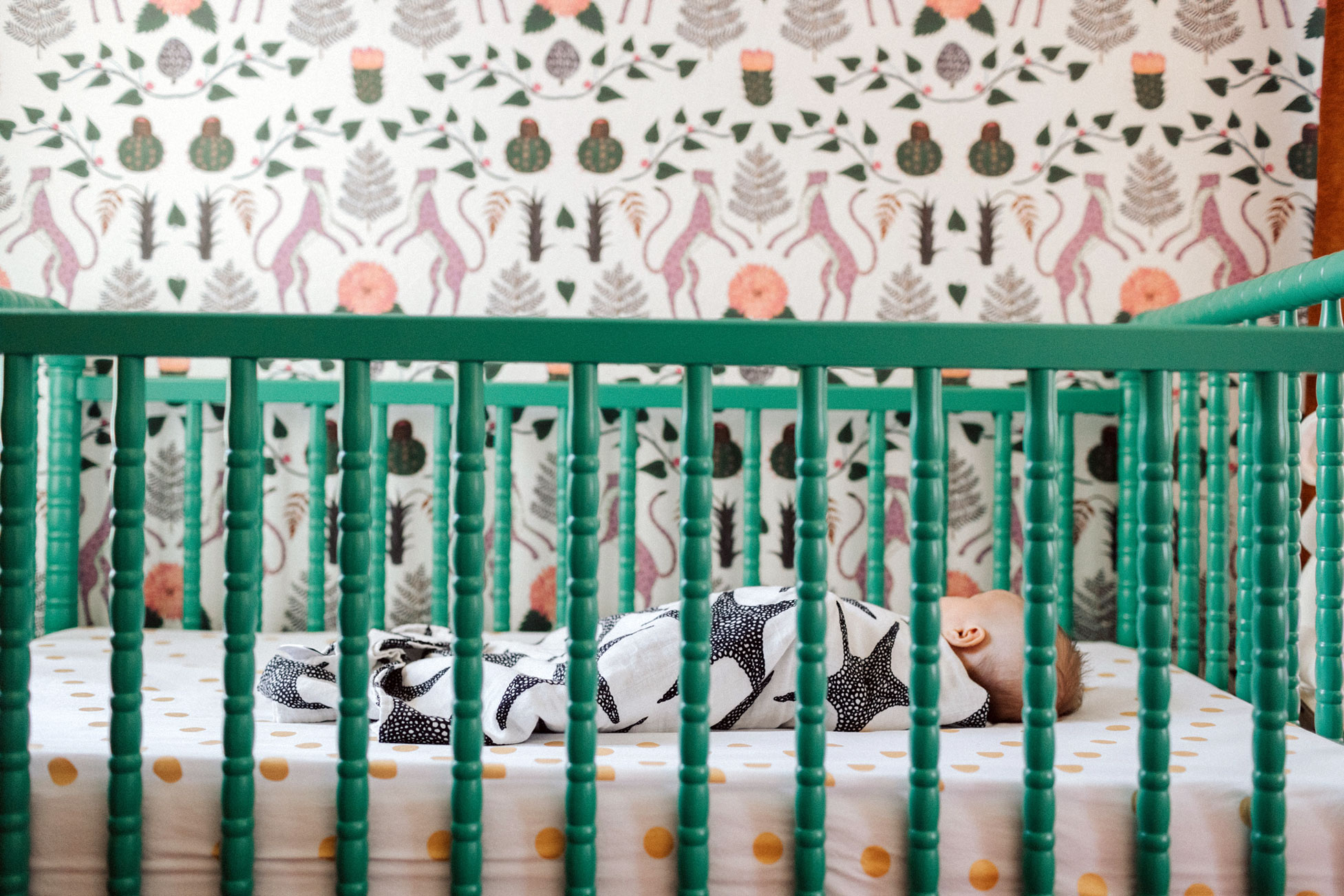 St. Petersburg Newborn Photo & Film Session