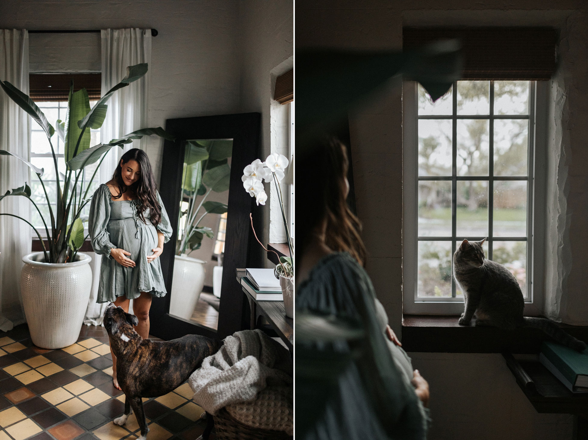 Tampa Maternity In Home Photo & Film Session