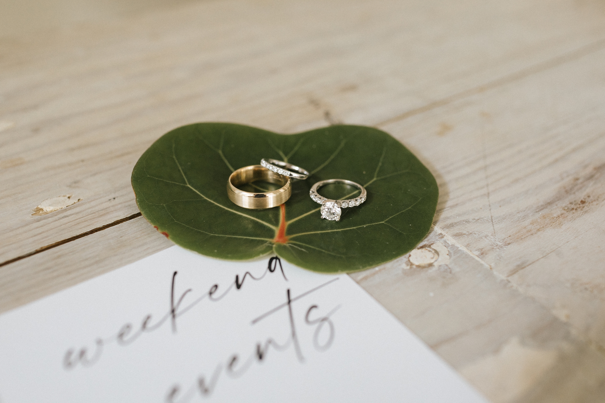 The Ocean View Club Wedding