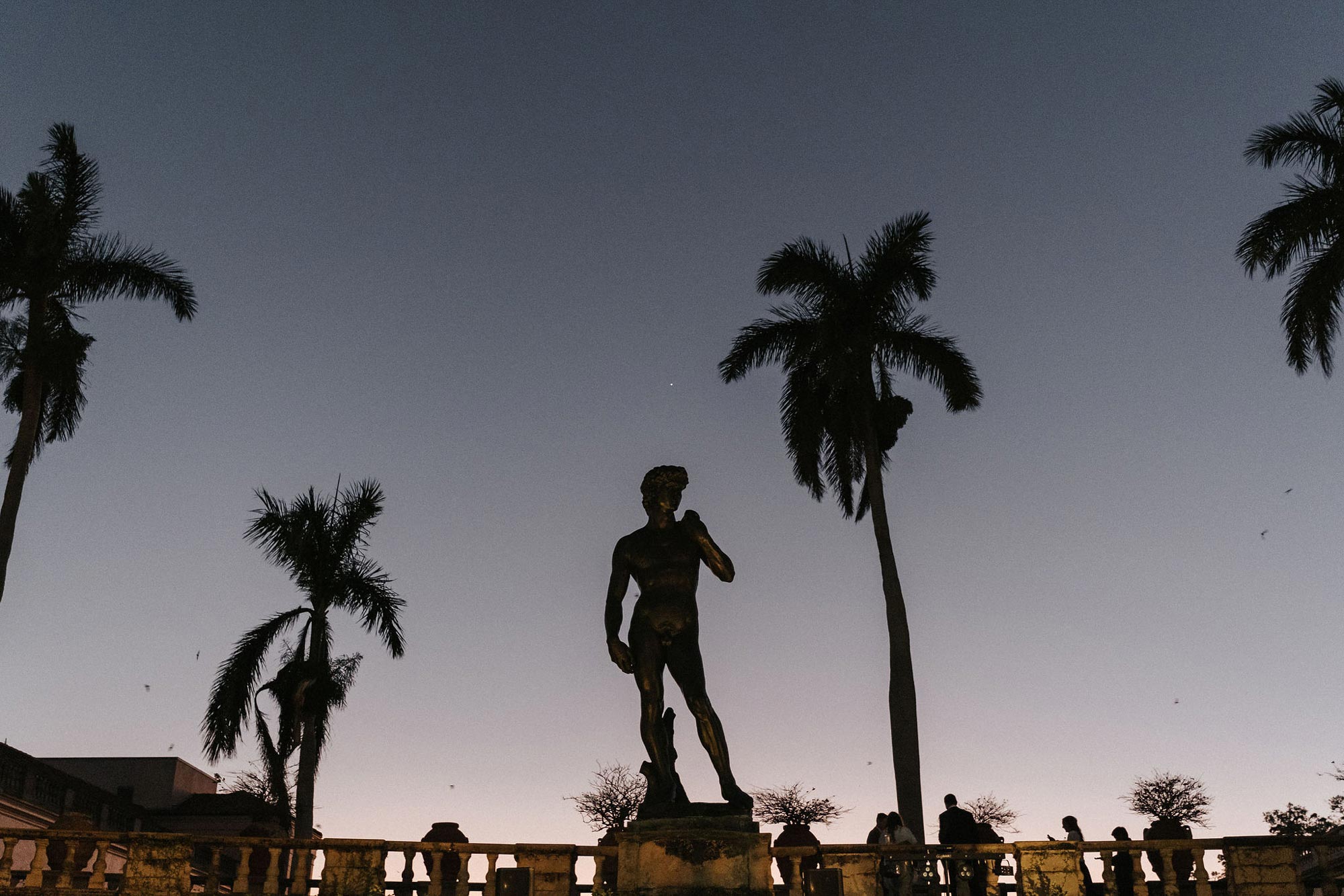 Ca' d'Zan wedding videographer