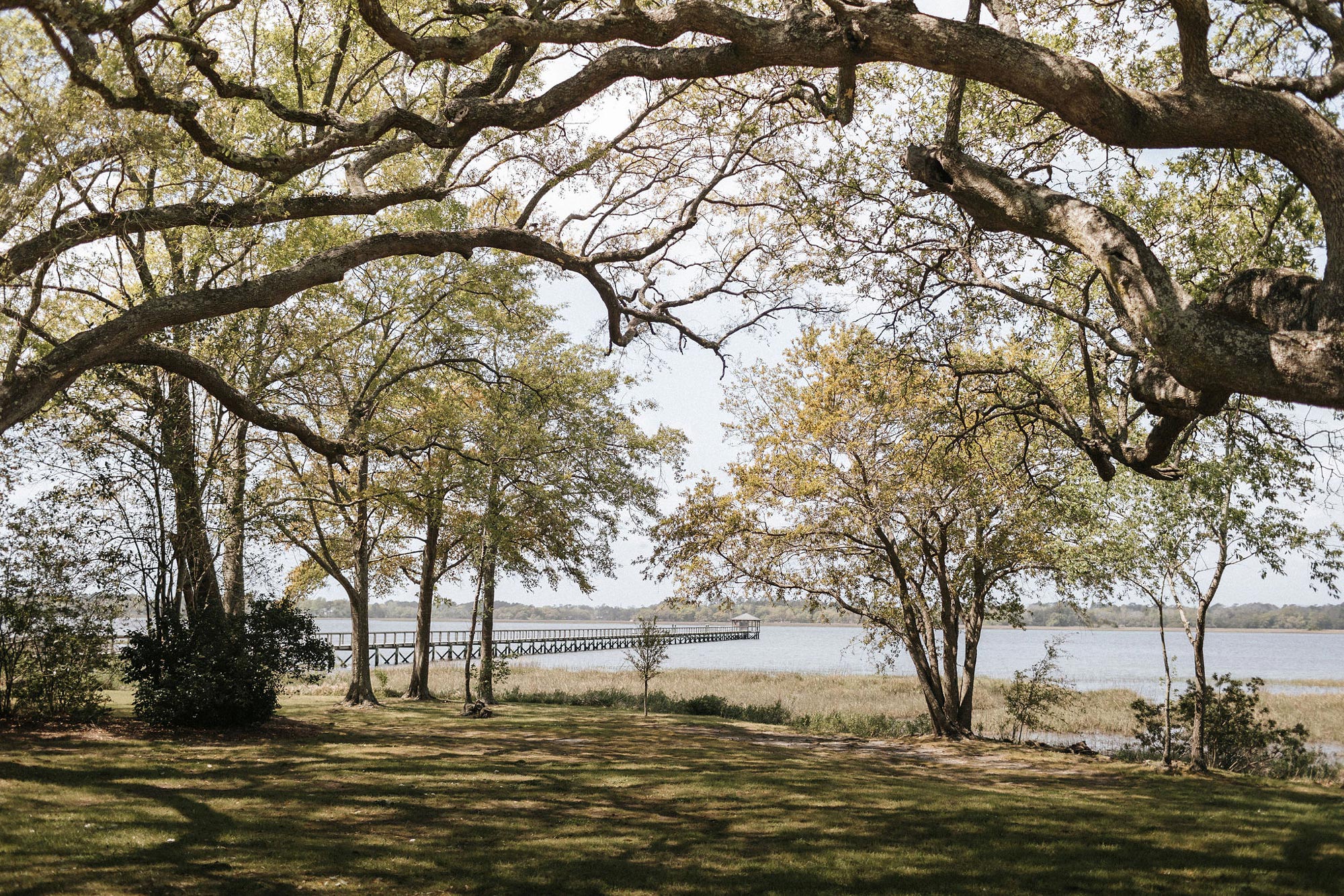 Charleston wedding films