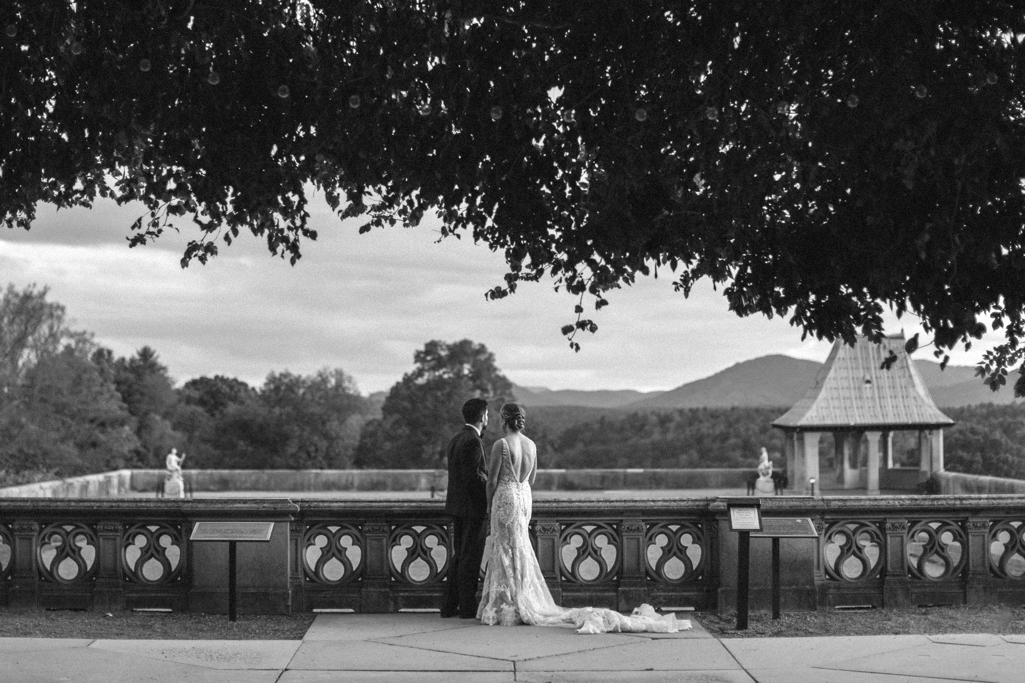 Biltmore Wedding Videographer